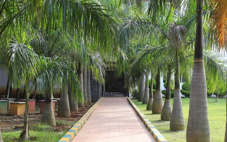 RR Institute of Advanced Studies Bangalore Infrastructure photo 1